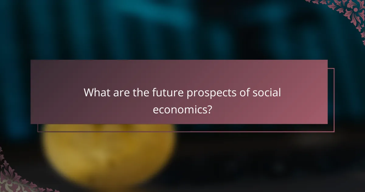 What are the future prospects of social economics?