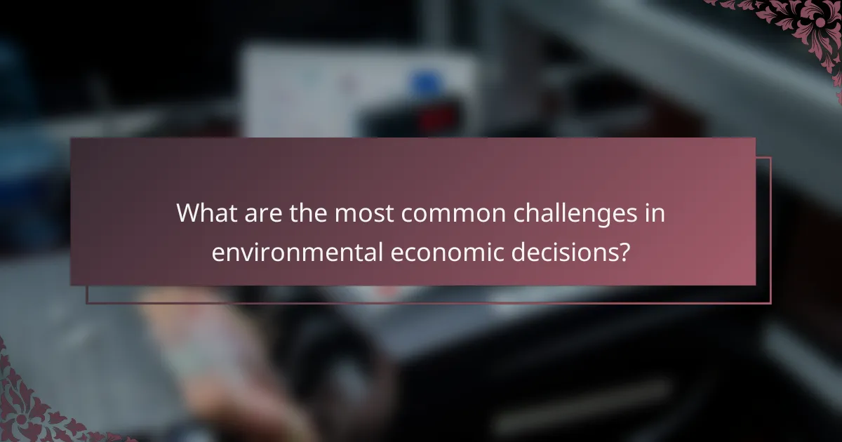 What are the most common challenges in environmental economic decisions?