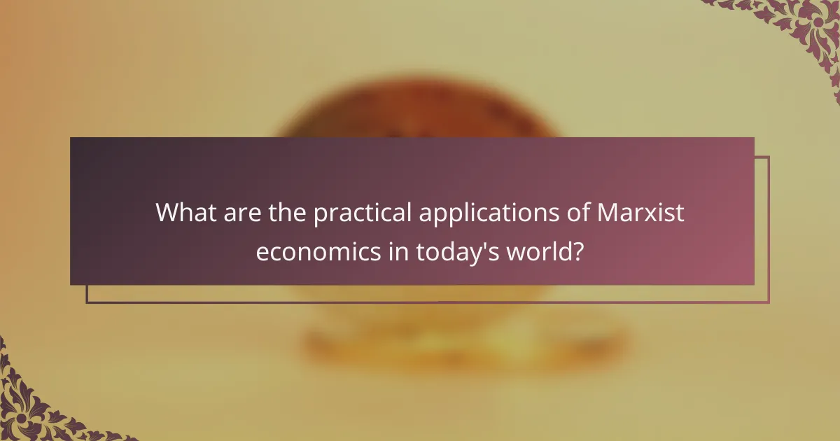 What are the practical applications of Marxist economics in today's world?